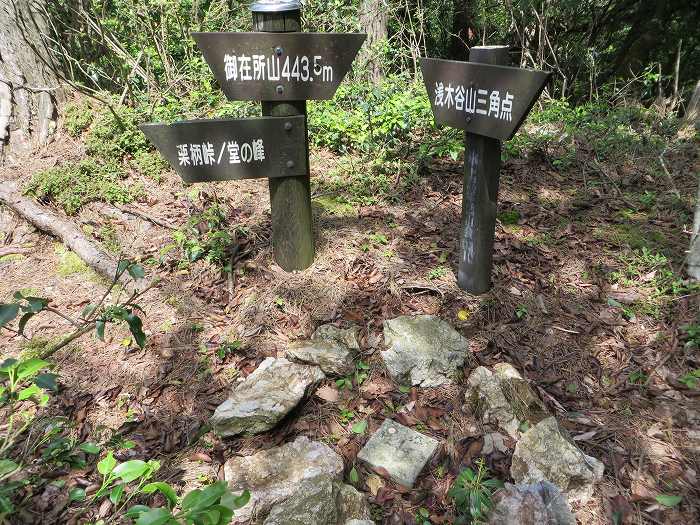 丹波篠山市坂本/御在所山写真