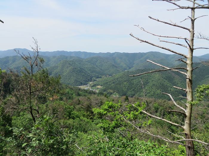 丹波篠山市坂本/御在所山写真