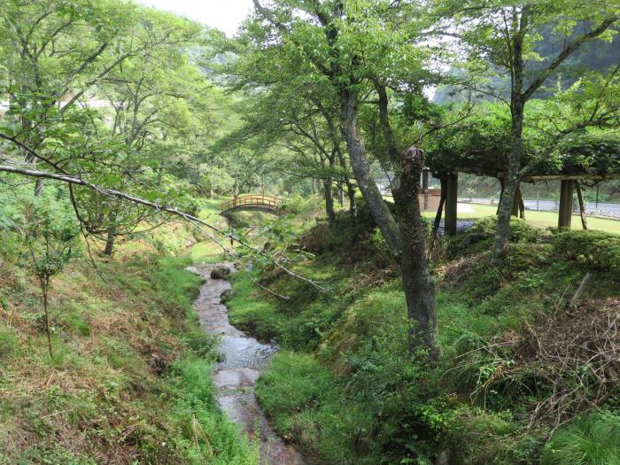 丹波篠山市本郷/つづみ公園写真