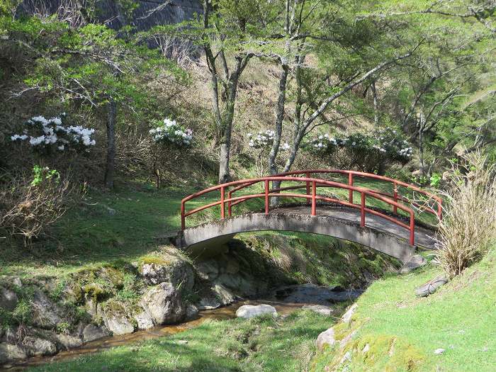 丹波篠山市本郷/つづみ公園写真