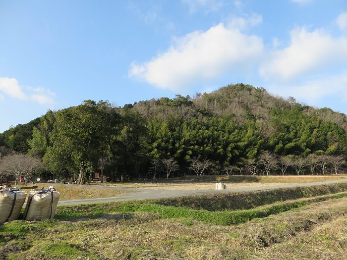 丹波篠山市栗柄/定利山写真