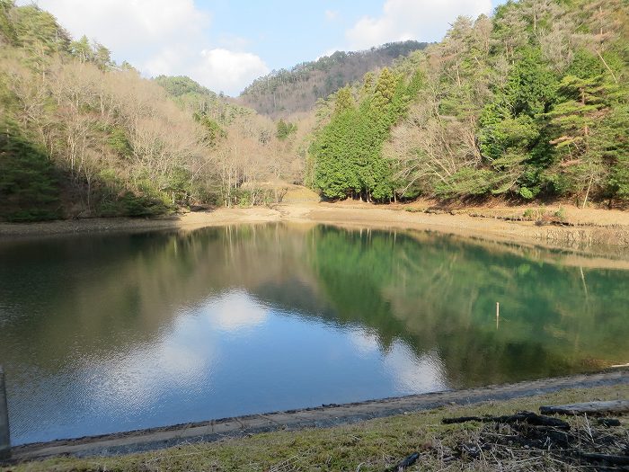 丹波篠山市栗柄/二両池写真