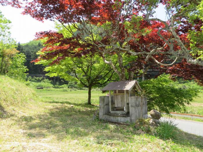 丹波篠山市本郷/祠写真