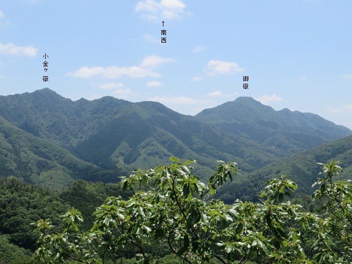 丹波篠山市川阪/高ツク山写真