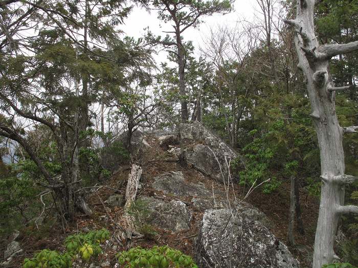 丹波篠山市本郷/殿山・草山城跡写真