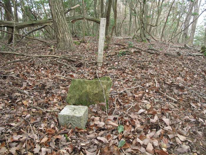 丹波篠山市本郷/殿山・草山城跡写真