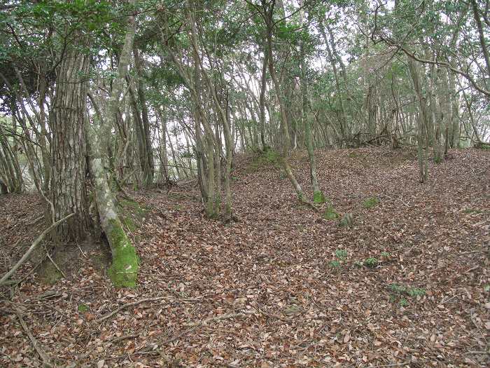 丹波篠山市本郷/殿山・草山城跡写真