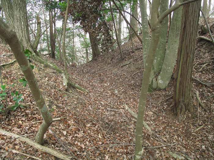 丹波篠山市本郷/殿山・草山城跡写真