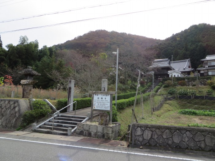 丹波篠山市本郷/龍駒山松隣寺写真