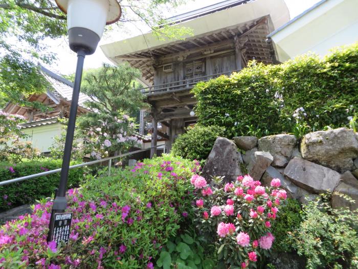 丹波篠山市本郷/龍駒山松隣寺写真