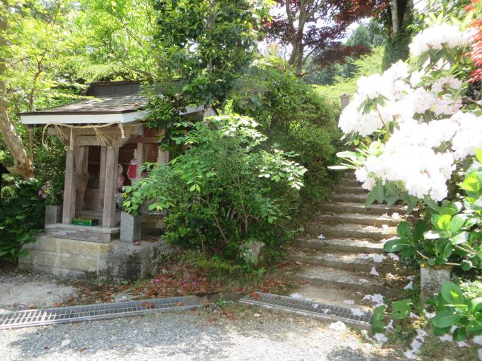 丹波篠山市本郷/龍駒山松隣寺写真