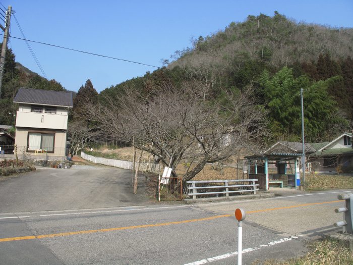 丹波篠山市本郷/サル谷写真