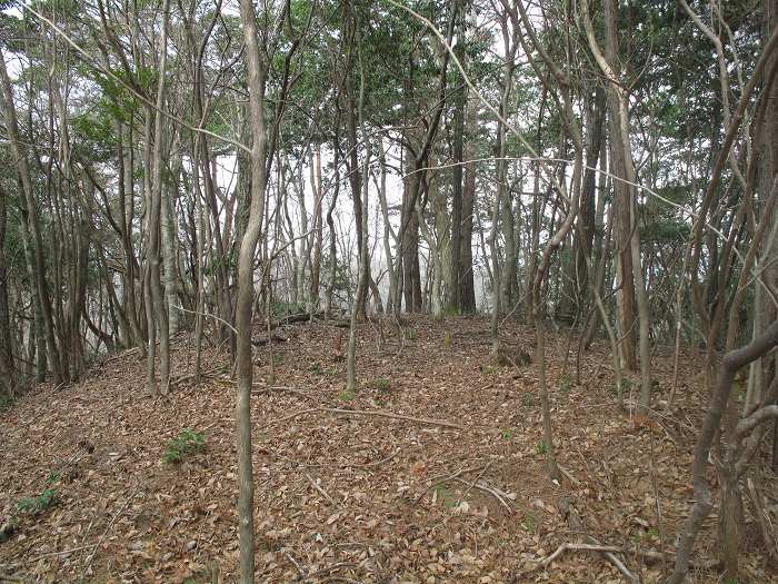 丹波篠山市本郷/サル谷写真