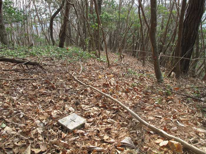 丹波篠山市本郷/サル谷写真