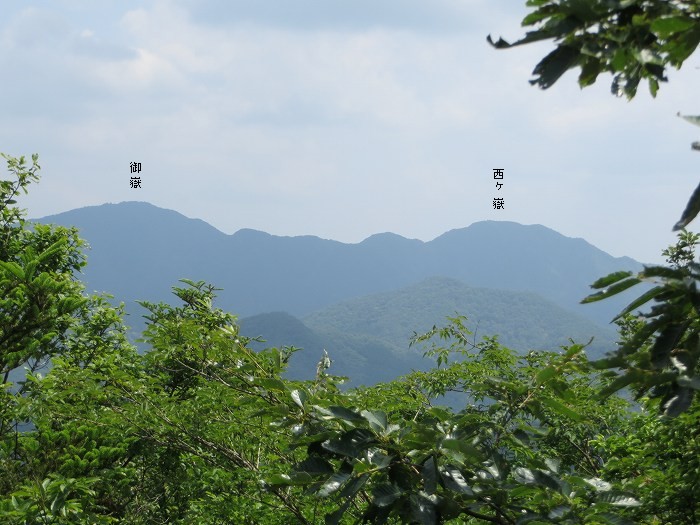 丹波篠山市桑原/鹿倉山写真