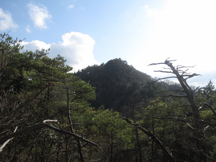 丹波篠山市桑原/鹿倉山写真