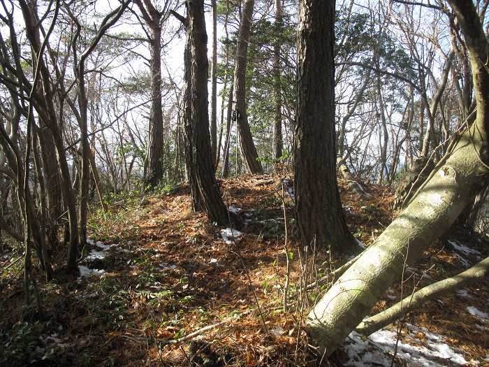 福知山市三和町菟原下/八川山写真