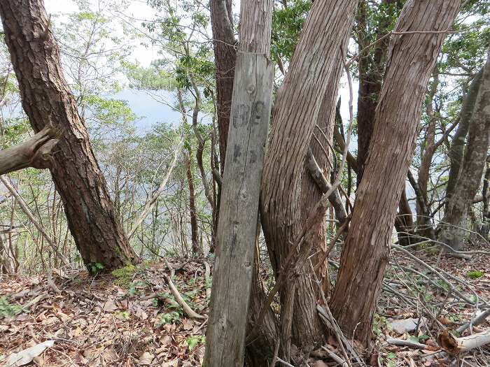 丹波篠山市遠方/万燈山・鷹ノ巣山写真