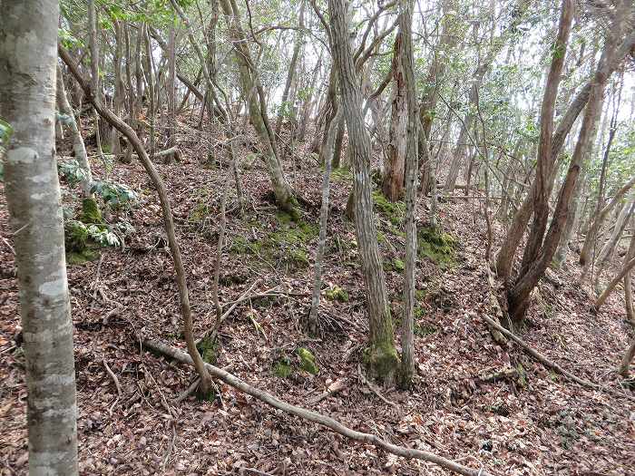 丹波篠山市遠方/万燈山・鷹ノ巣山写真