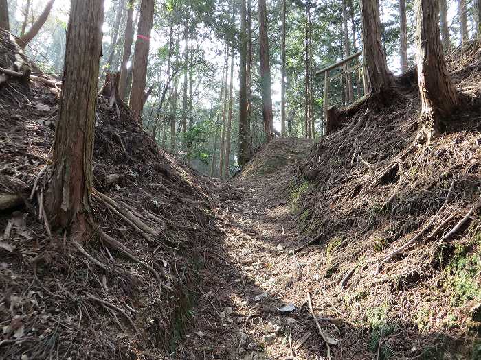 丹波篠山市遠方/万燈山・鷹ノ巣山写真