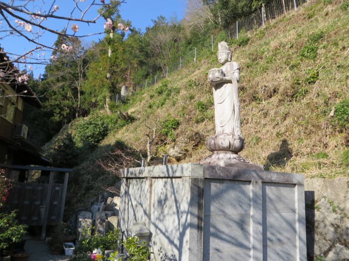 丹波篠山市奥県守/岩松山法円寺写真