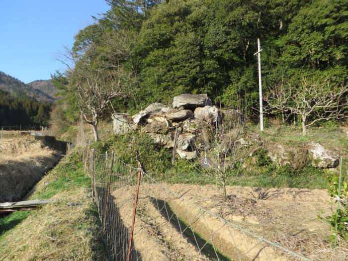 丹波篠山市県守/山ン谷古墳写真