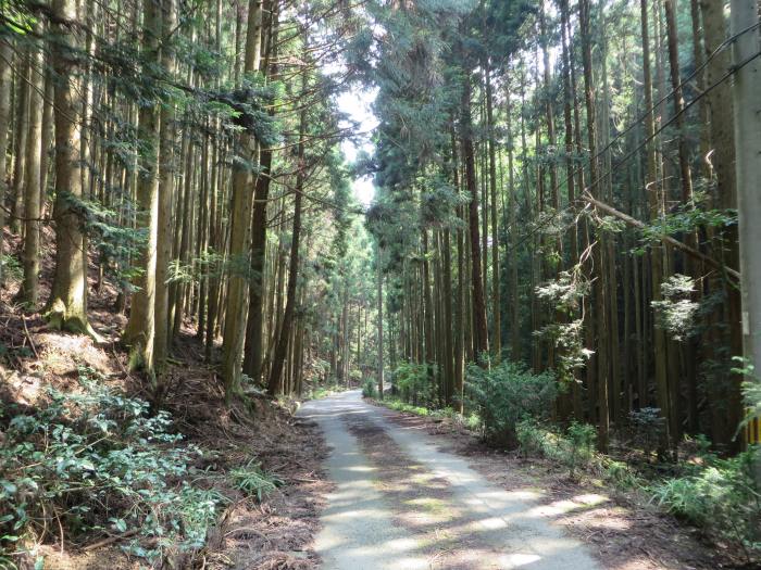 丹波篠山市県守/衣笠山写真