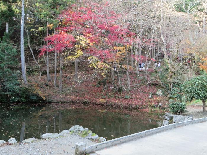 丹波篠山市東本荘/宝鏡山洞光寺写真