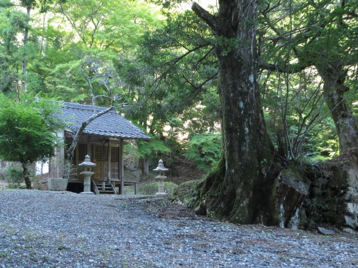 丹波篠山市小立/厄除八幡神社写真