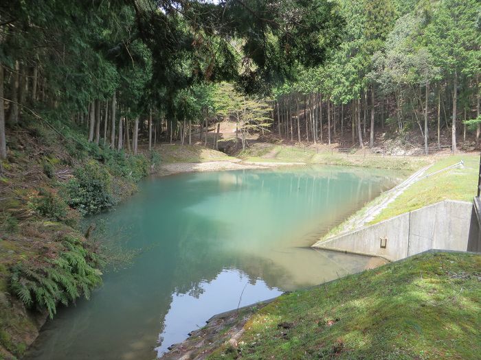 丹波篠山市小立/池写真