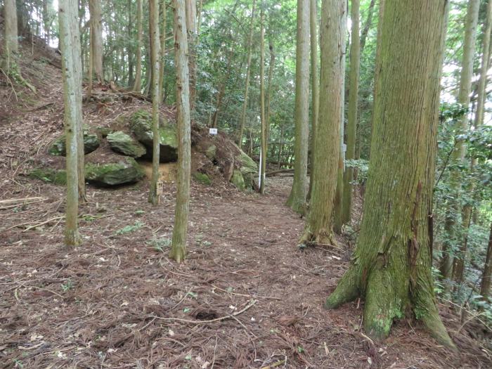 丹波篠山市小立/岩井山古墳群写真