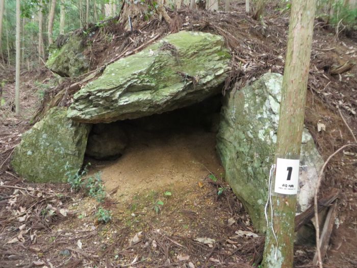 丹波篠山市小立/岩井山古墳群写真