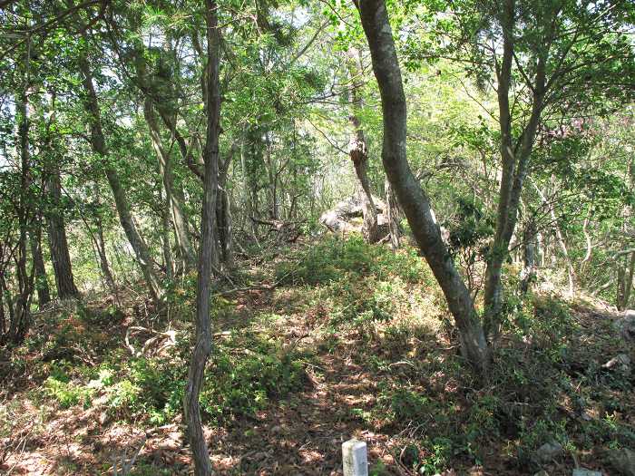 丹波篠山市福井/宮山写真