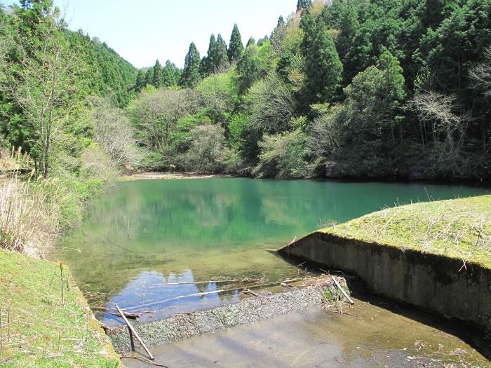 丹波篠山市草ノ上/池写真