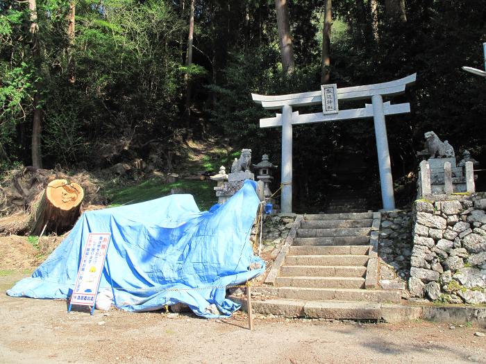 丹波篠山市草ノ上/左近神社写真