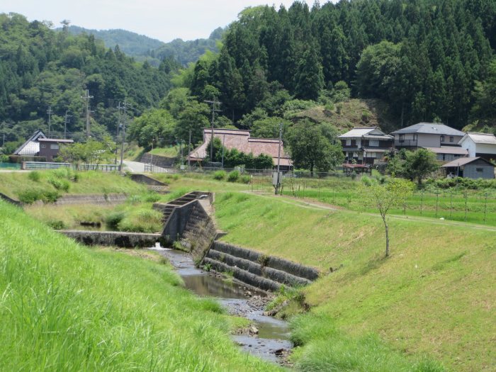 丹波篠山市市野々/景色写真