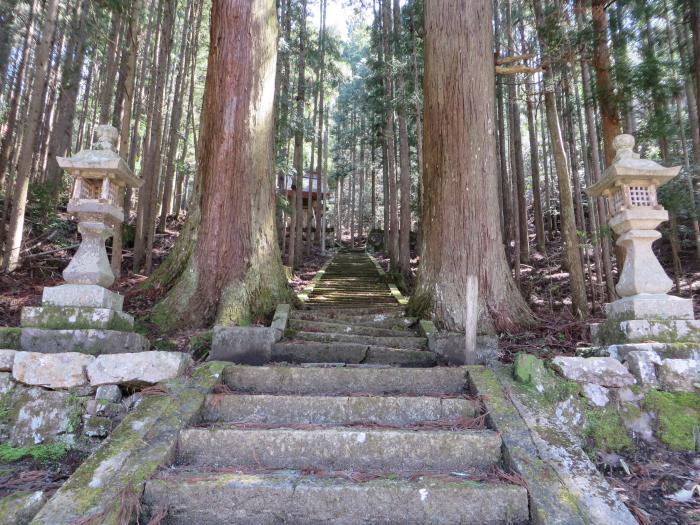 丹波篠山市大藤/若宮神社写真