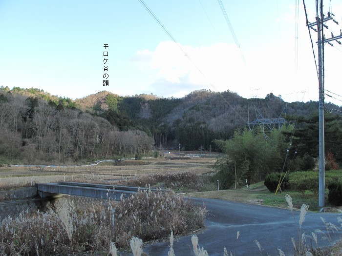 丹波篠山市市野々/モロケ谷の頭写真