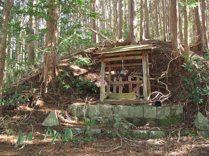 丹波篠山市市野々/モロケ谷の頭写真