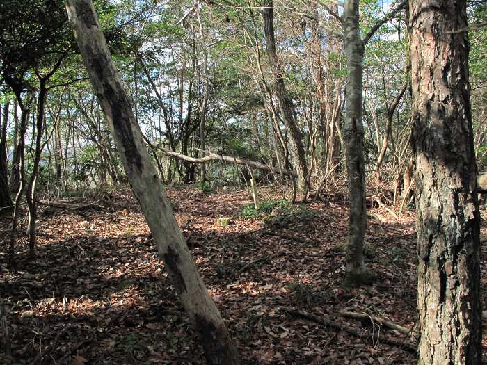 丹波篠山市市野々/モロケ谷の頭写真