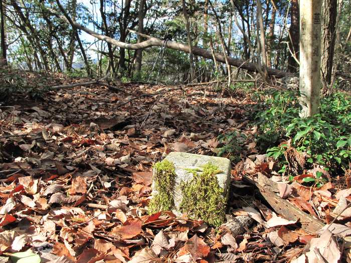 丹波篠山市市野々/モロケ谷の頭写真