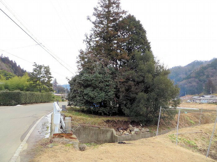 丹波篠山市上筱見/祠写真