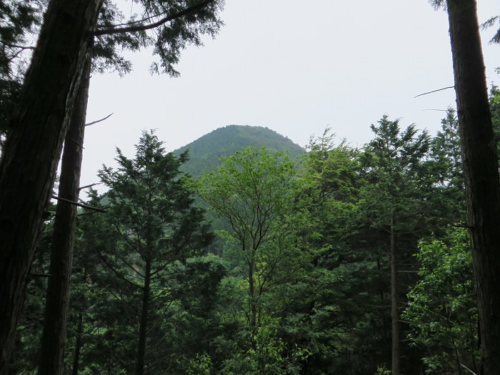 丹波篠山市上筱見/峠山写真