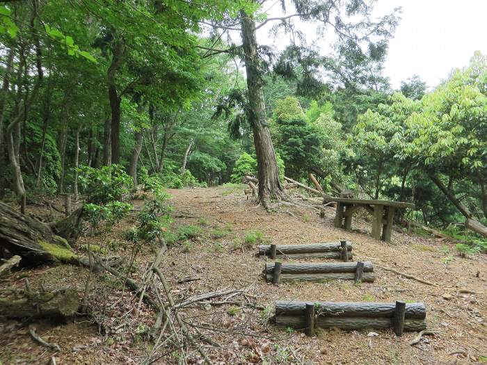 丹波篠山市上筱見/峠山写真