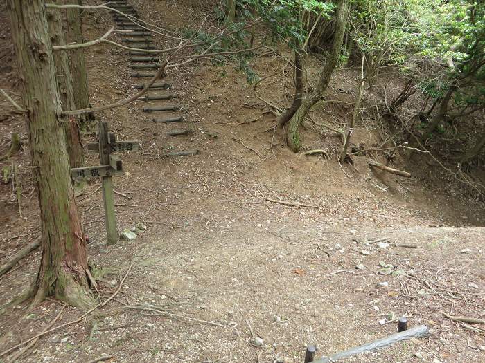 丹波篠山市上筱見/小倉たわ写真