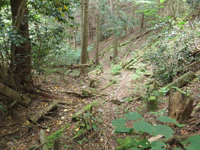 丹波篠山市上筱見/峠谷写真