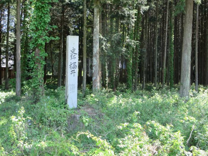 丹波篠山市福井/史跡福井写真