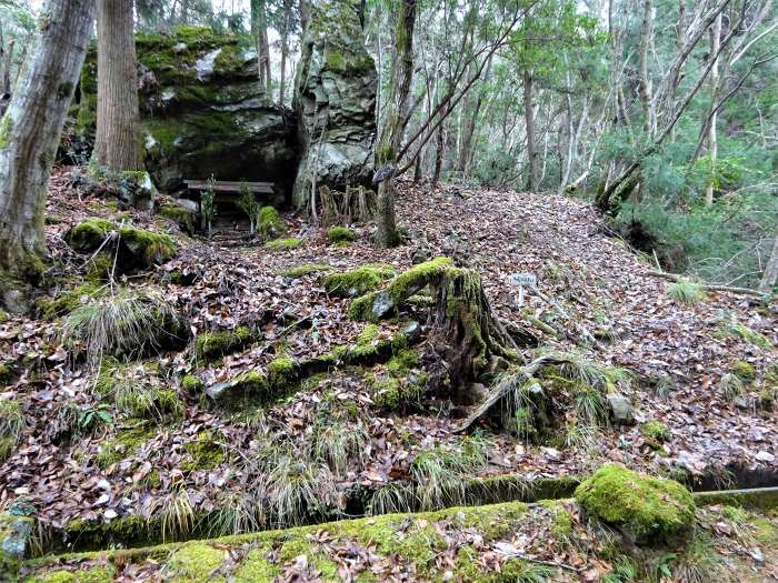 丹波篠山市小原/八ヶ尾山写真