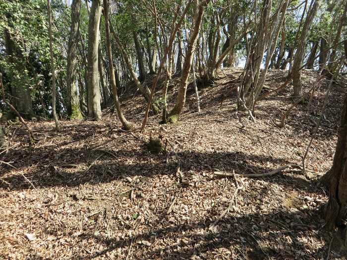 丹波篠山市下筱見/城山・豊林寺城跡写真