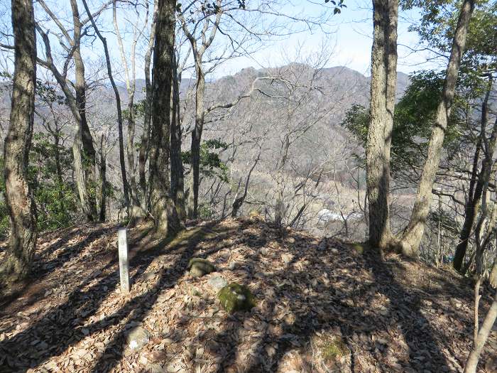 丹波篠山市下筱見/城山・豊林寺城跡写真